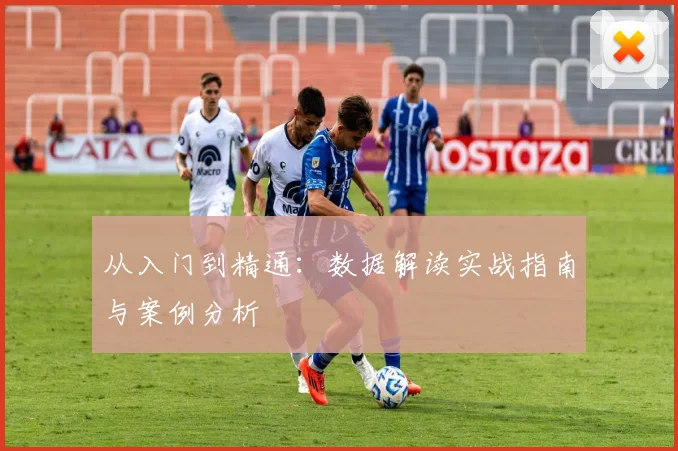 从入门到精通：数据解读实战指南与案例分析
