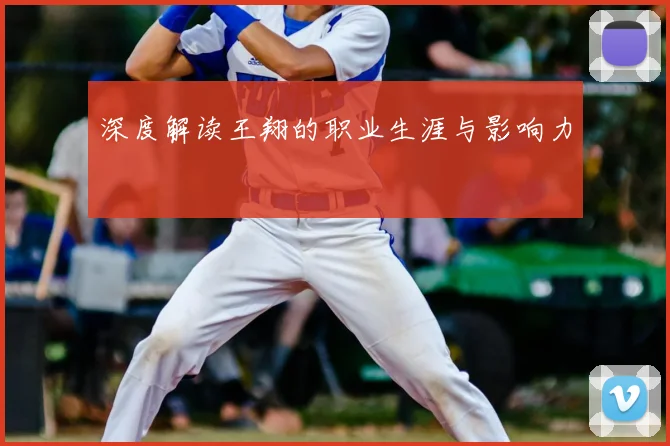 深度解读王翔的职业生涯与影响力
