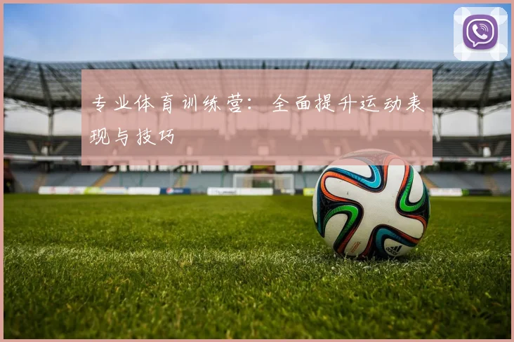 专业体育训练营：全面提升运动表现与技巧