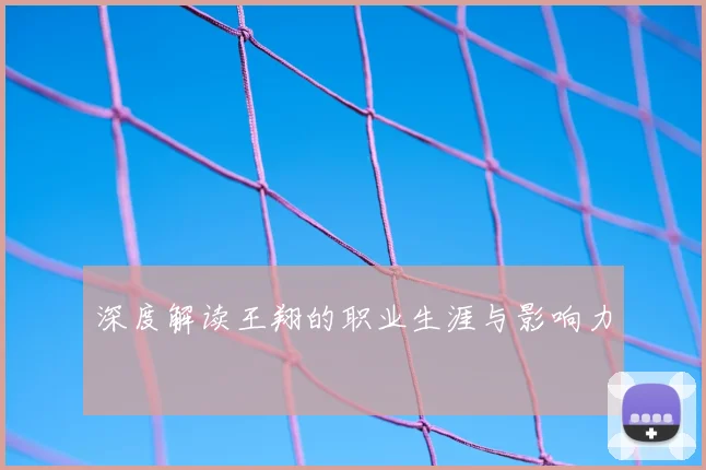 深度解读王翔的职业生涯与影响力