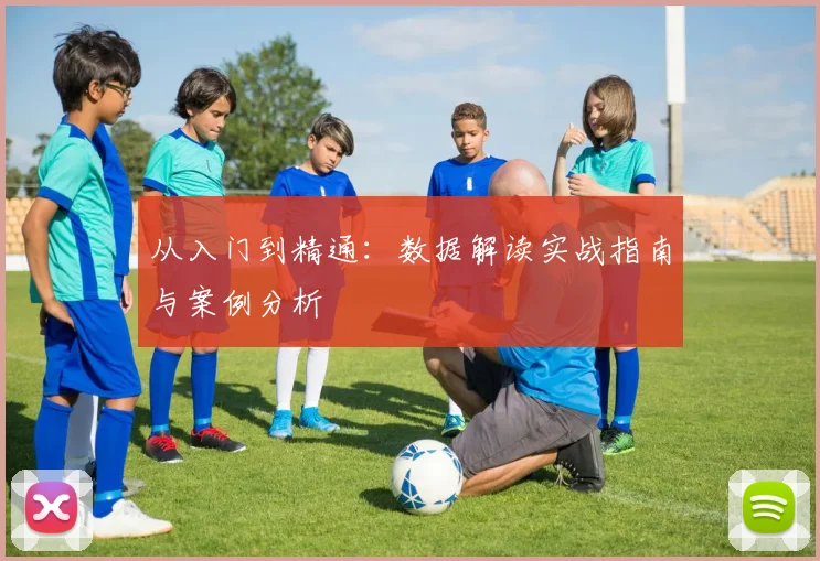 从入门到精通：数据解读实战指南与案例分析