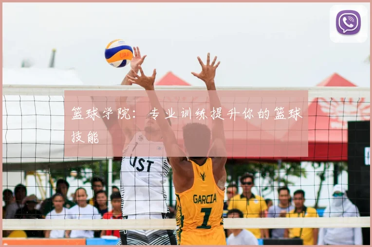 篮球学院：专业训练提升你的篮球技能